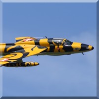 Tiger Hunter Tiger Hunter